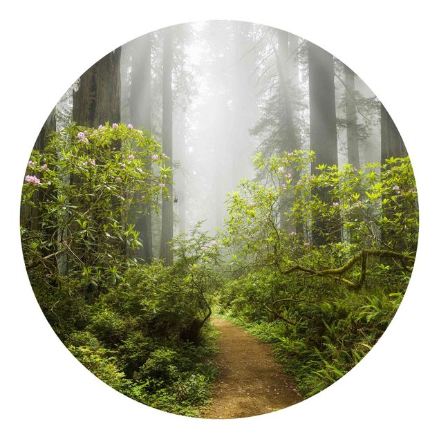 Self-adhesive round wallpaper forest - Misty Forest Path