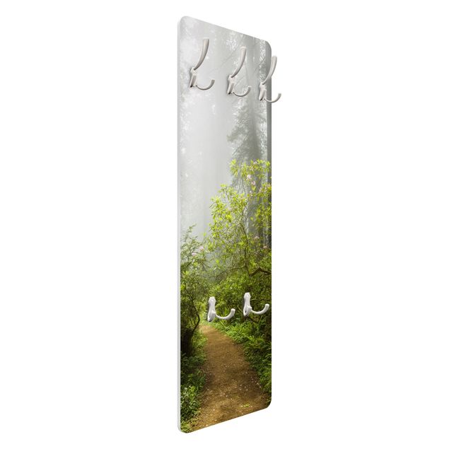Coat rack - Misty Forest Path