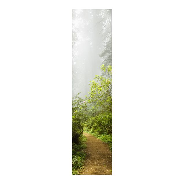 Sliding panel curtains set - Misty Forest Path