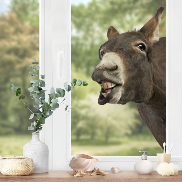 Window sticker - Curious Donkey