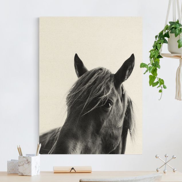 Canvas print gold - Curious Horse