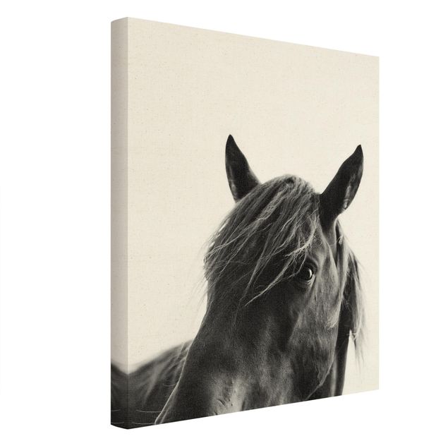 Canvas print gold - Curious Horse