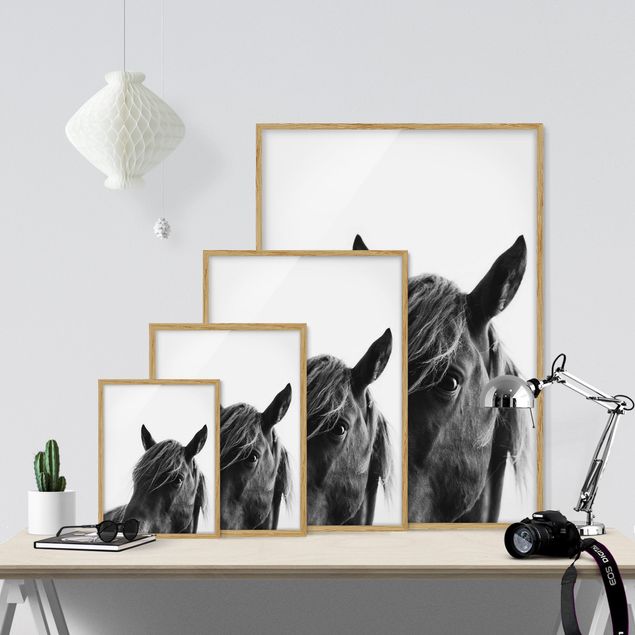 Framed poster - Curious Horse