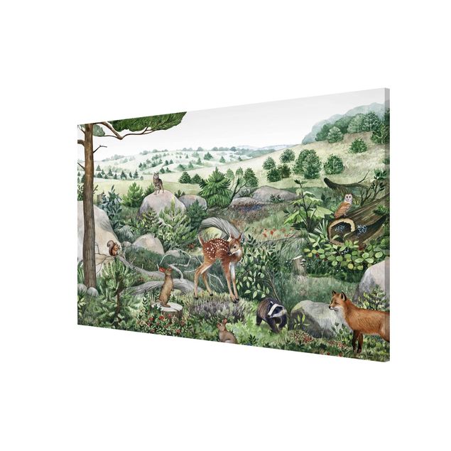 Magnetic memo board - Curious fawn on an exploratory tour