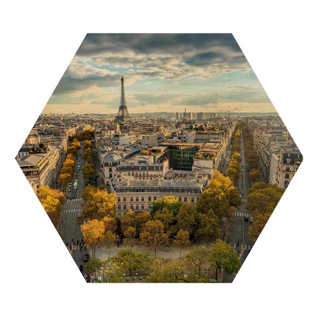Wooden hexagon - Nice day in Paris