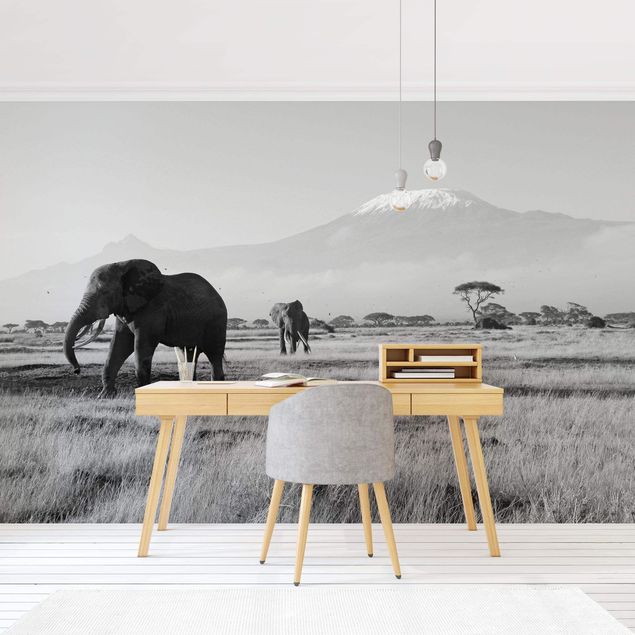 Wallpaper - No.287 Elephant In Front Of The Kilimanjaro In Kenya II