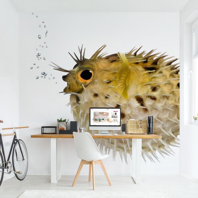 Wallpapers No.602 Pufferfish