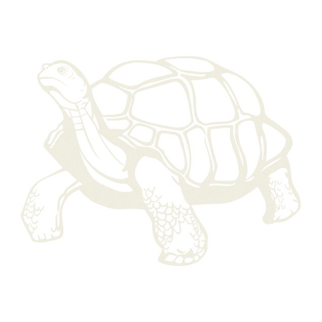 Window sticker - No.EG11 turtle