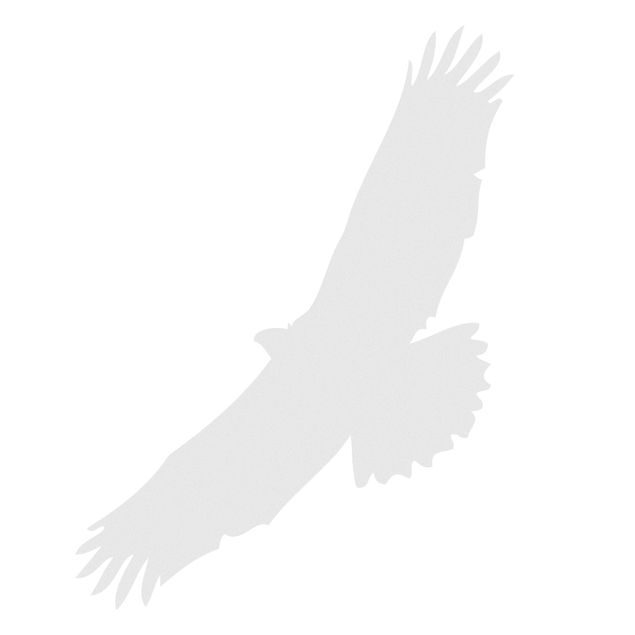 Window sticker - No.UL524 bird of prey
