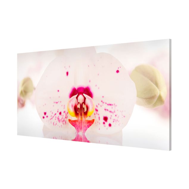 Magnetic memo board - Dotted Orchid On Water