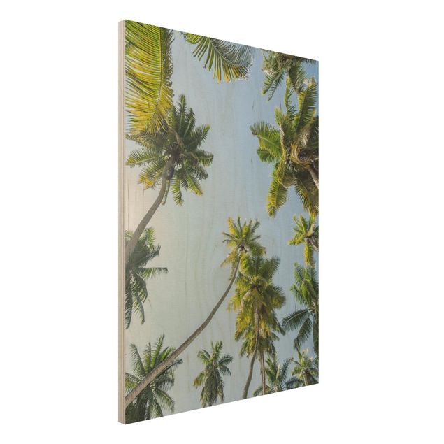 Wood print - Palm Tree Canopy