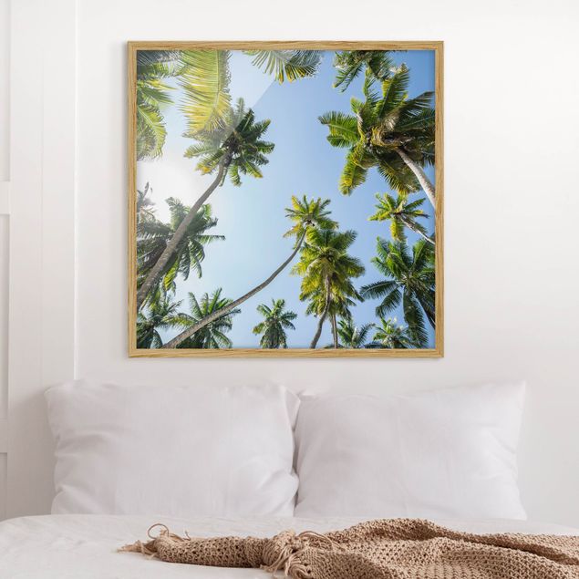 Framed poster - Palm Tree Canopy