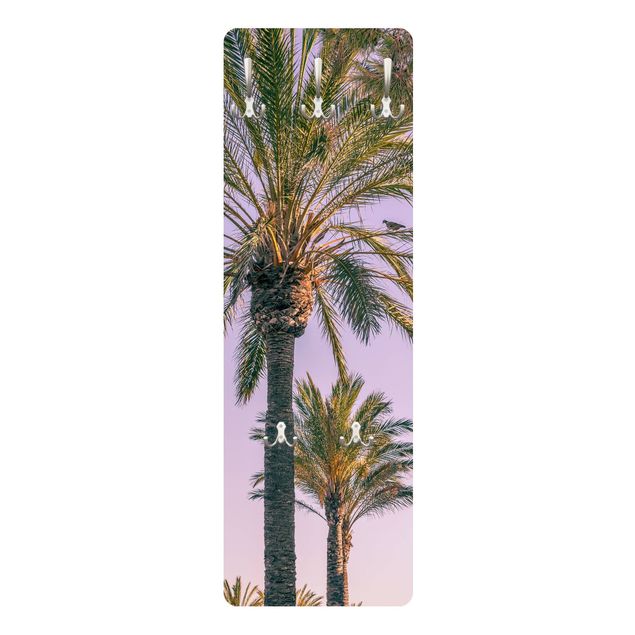 Coat rack - Palm Trees At Sunset