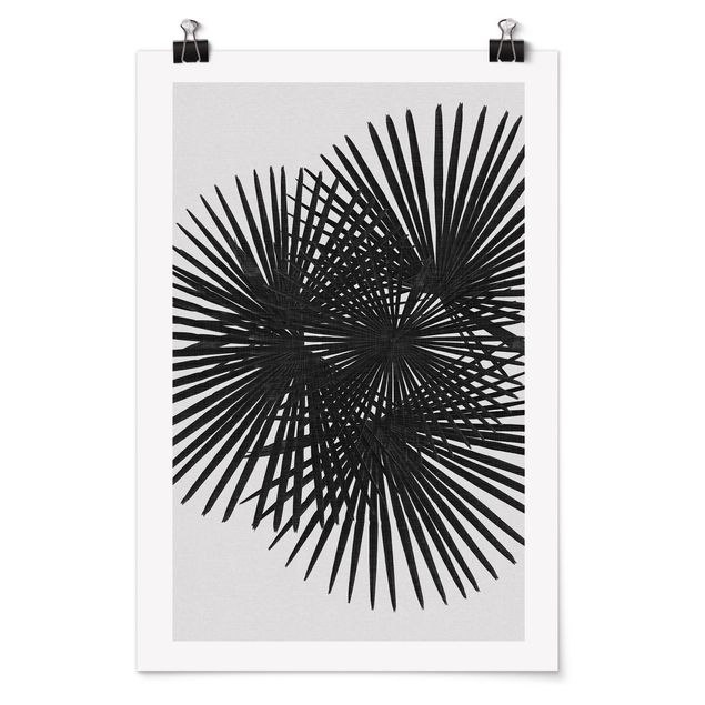 Poster - Palm Leaves In Black And White