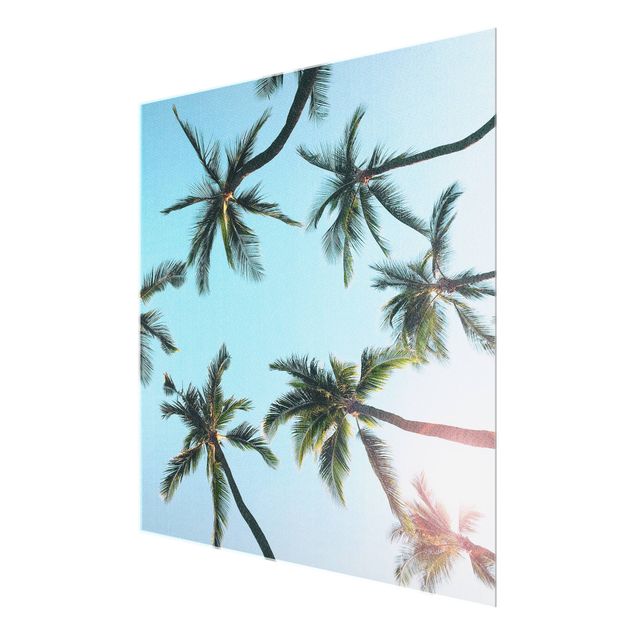 Glass print - Gigantic Palm Trees In The Sky