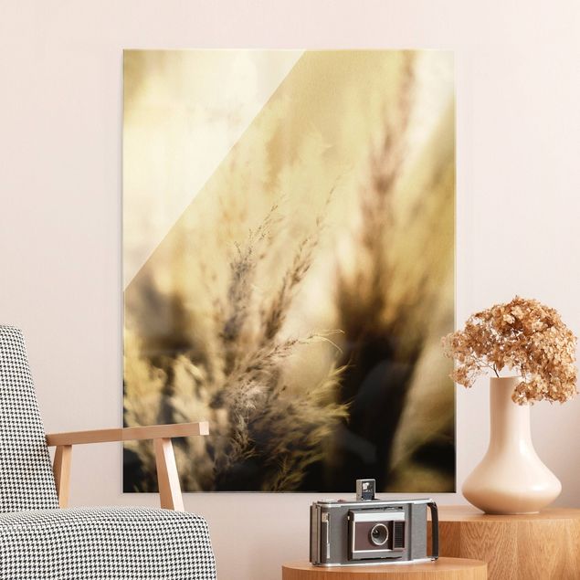 Glass print - Pampas Grass In The Shadow - Portrait format