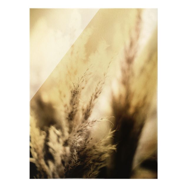 Glass print - Pampas Grass In The Shadow - Portrait format