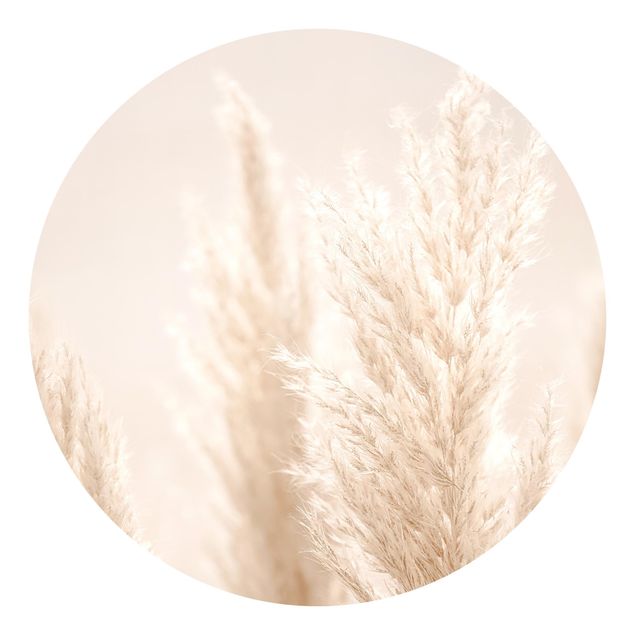 Self-adhesive round wallpaper - Pampas Grass In Sun Light