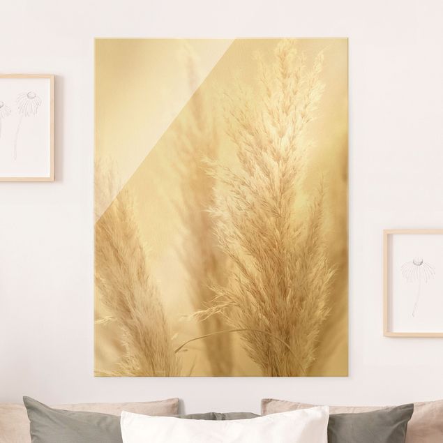 Glass print - Pampas Grass In Sun Light - Portrait format
