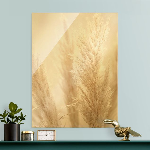 Glass print - Pampas Grass In Sun Light - Portrait format