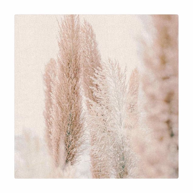 Nature rugs Pampas Grass In White Light