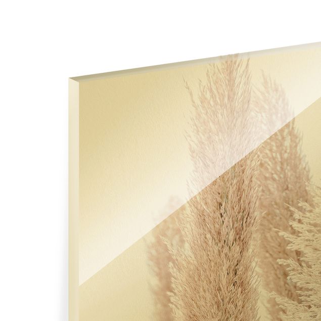 Glass print - Pampas Grass In White Light - Portrait format