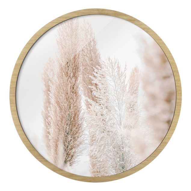 Circular framed print - Pampas Grass In White Light