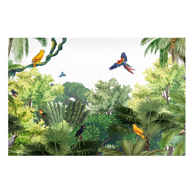 Magnetic memo board - Parrot parade in the jungle