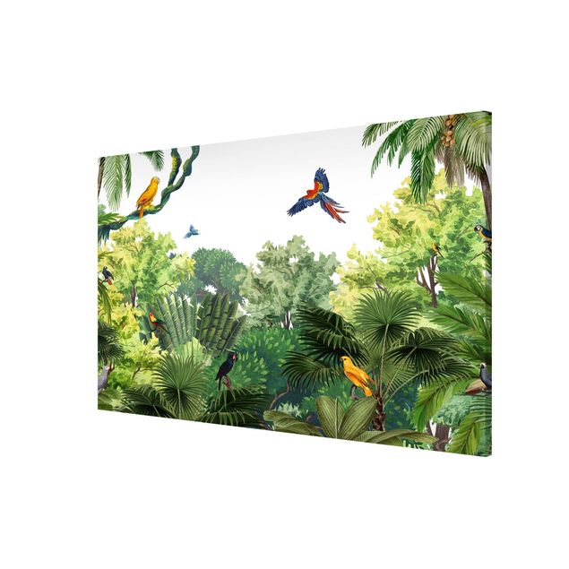 Magnetic memo board - Parrot parade in the jungle