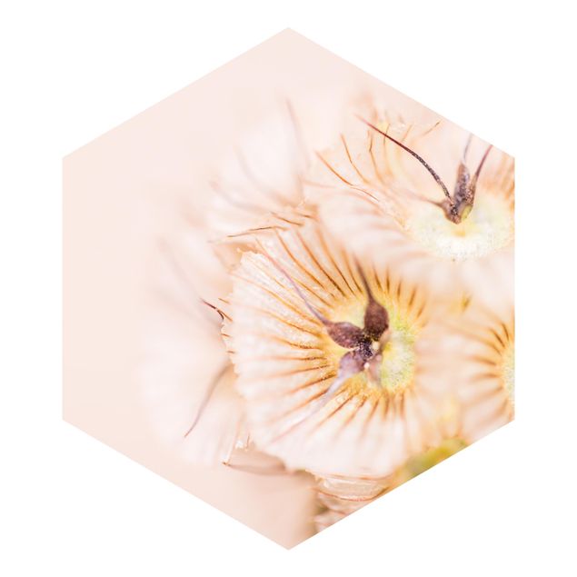 Self-adhesive hexagonal pattern wallpaper - Pastel Bouquet of Flowers