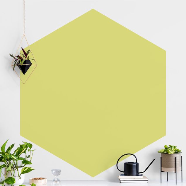 Hexagonal wallpapers Pastel Green