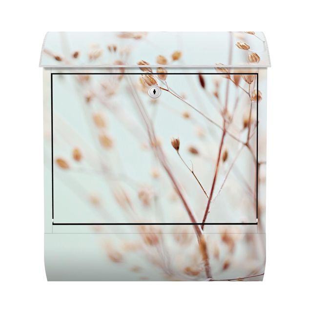 Letterbox - Pastel Buds On Wild Flower Twig