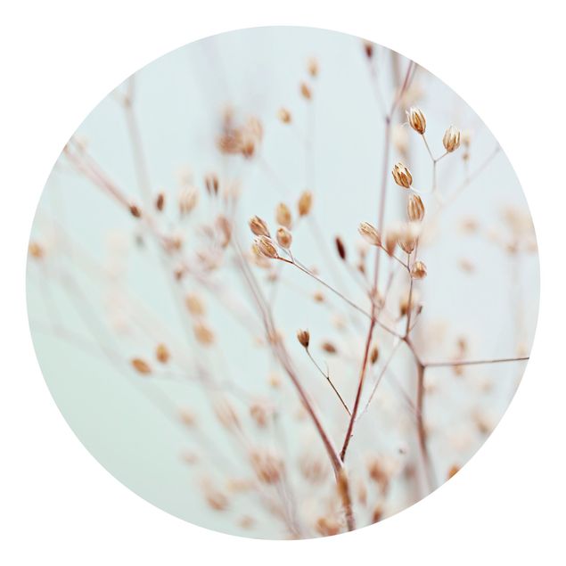 Self-adhesive round wallpaper - Pastel Buds On Wild Flower Twig