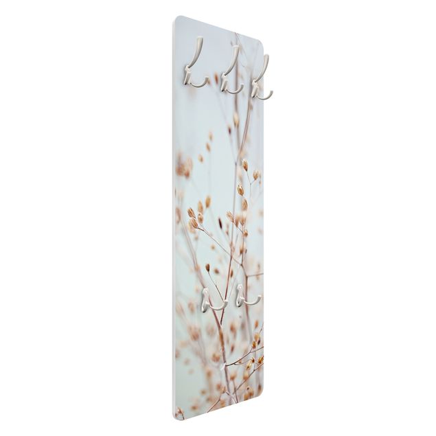 Coat rack modern - Pastel Buds On Wild Flower Twig