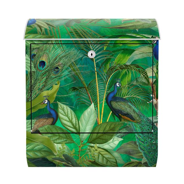 Letterbox - Peacocks In The Jungle