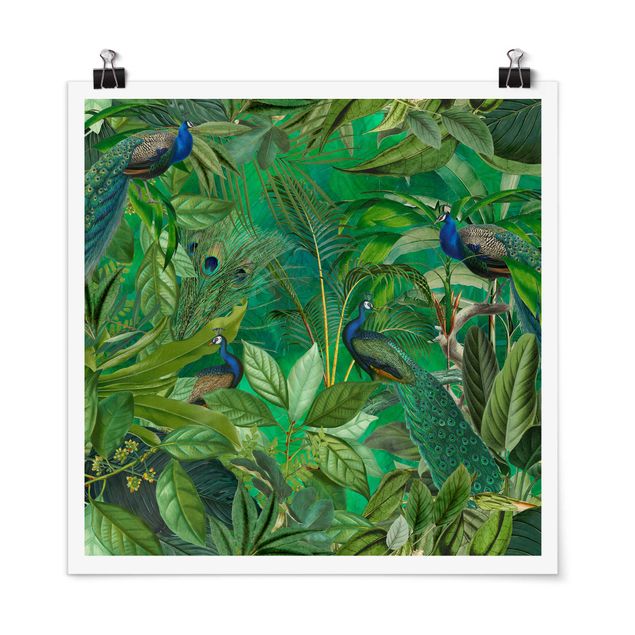 Poster - Peacocks In The Jungle