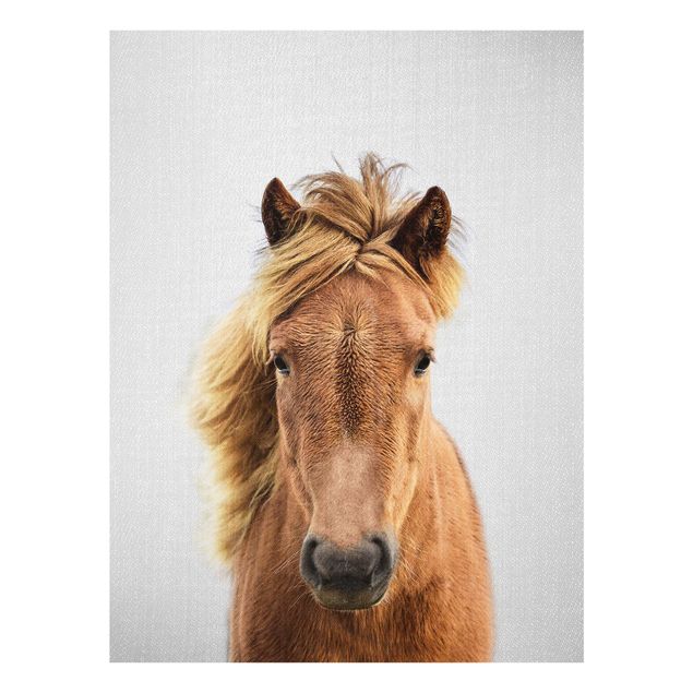 Glass print - Horse Pauline