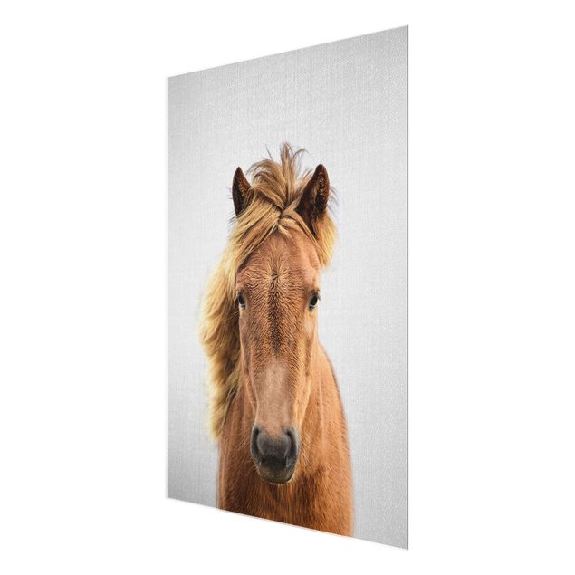 Glass print - Horse Pauline