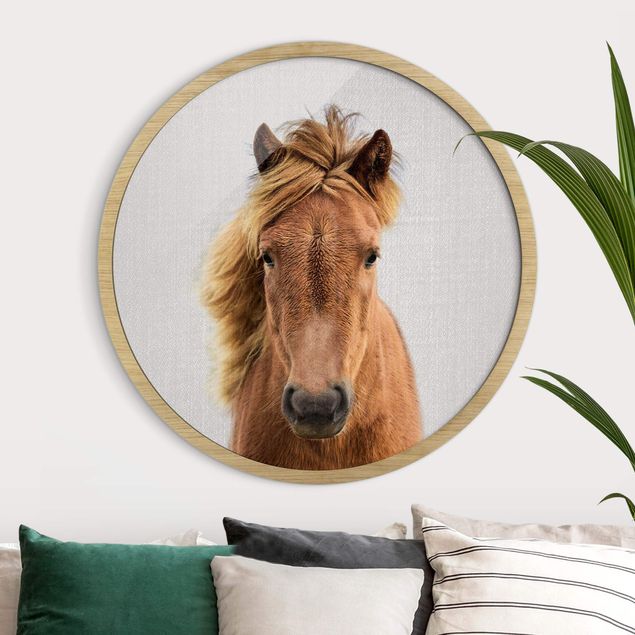 Framed prints round Horse Pauline
