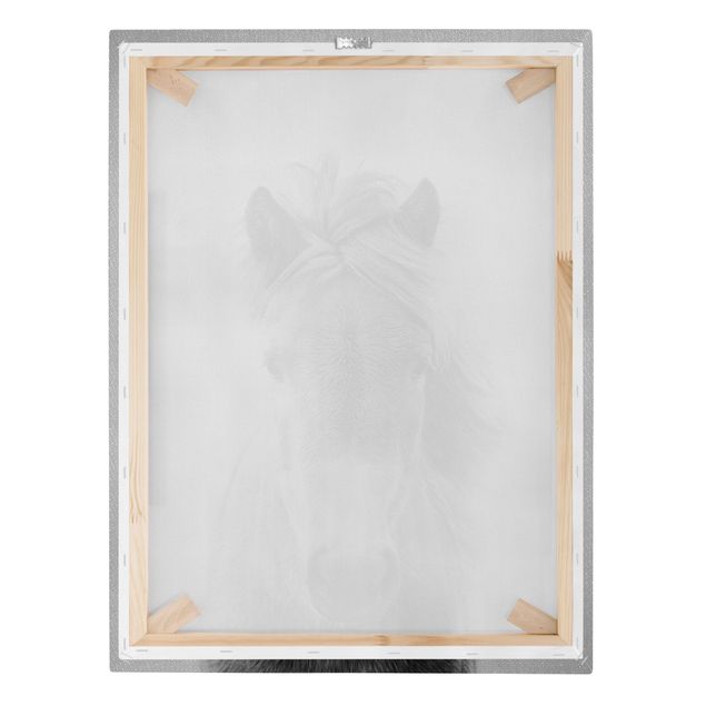 Canvas print - Horse Pauline Black And White - Portrait format 3:4