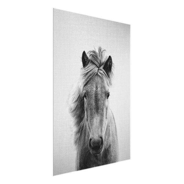 Glass print - Horse Pauline Black And White