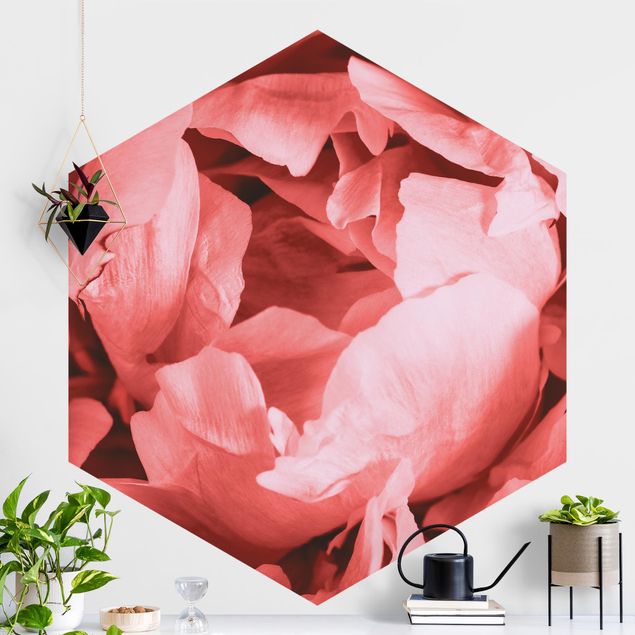 Hexagonal wallpapers Peony Blossom Coral