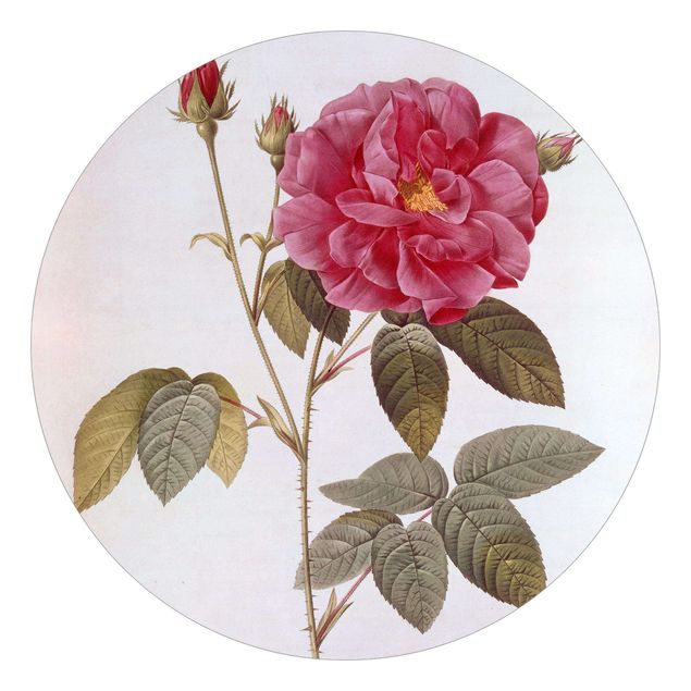 Self-adhesive round wallpaper - Pierre Joseph Redoute - Apothecary's Rose