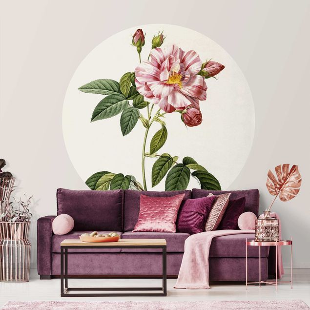 Wallpapers Pierre Joseph Redoute - Pink Gallica Rose
