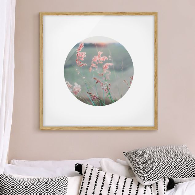 Framed poster - Pink Flowers In A Circle