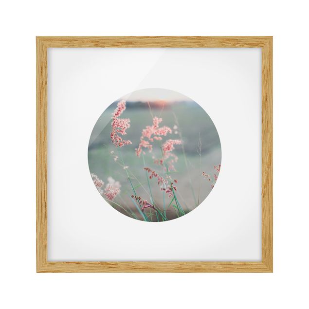 Framed poster - Pink Flowers In A Circle