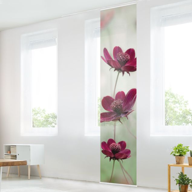 Sliding panel curtains set - Pink Cosmos Flower