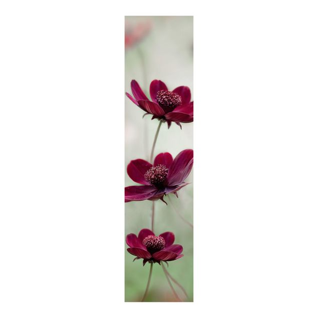 Sliding panel curtains set - Pink Cosmos Flower
