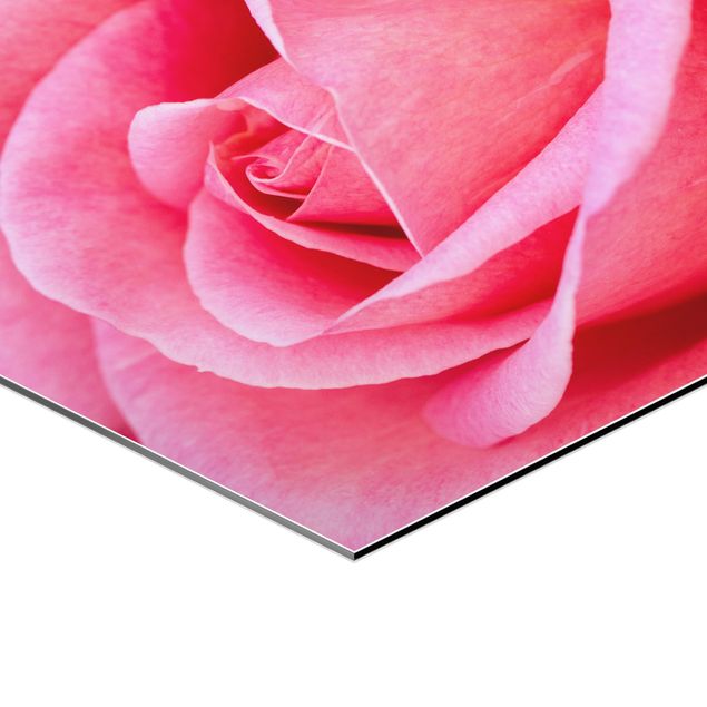 Alu-Dibond hexagon - Pink Rose Flowers Green Backdrop