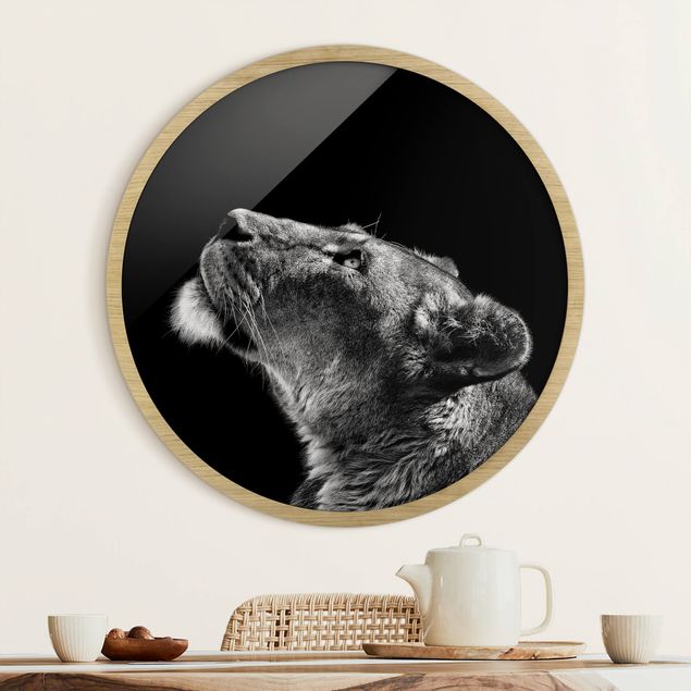 Framed prints round Portrait Of A Lioness